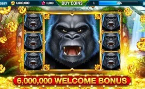 mrbetcasino Cómo armamos mrbetcasino desde adentro